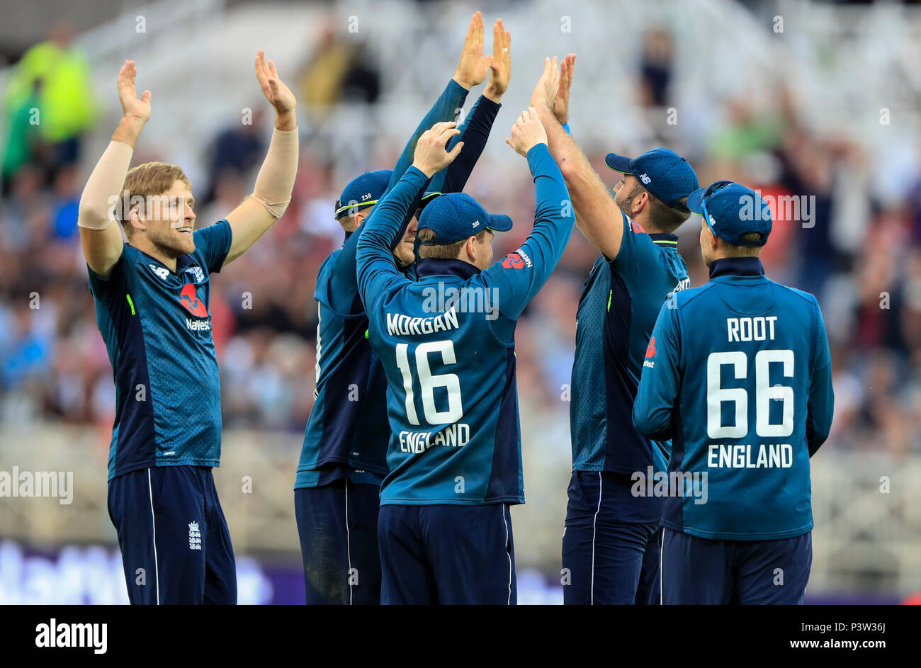 Trent Bridge, Nottingham, UK. 19 Juni, 2018. One Day International Cricket, 3 Royal London ODI, England und Australien; England Spieler der Fall der siebten Australische Wicket feiern, Glenn Maxwell für 19 Durchläufe von Liam Plunkett Credit: Aktion plus Sport/Alamy Leben Nachrichten gefangen Stockfoto