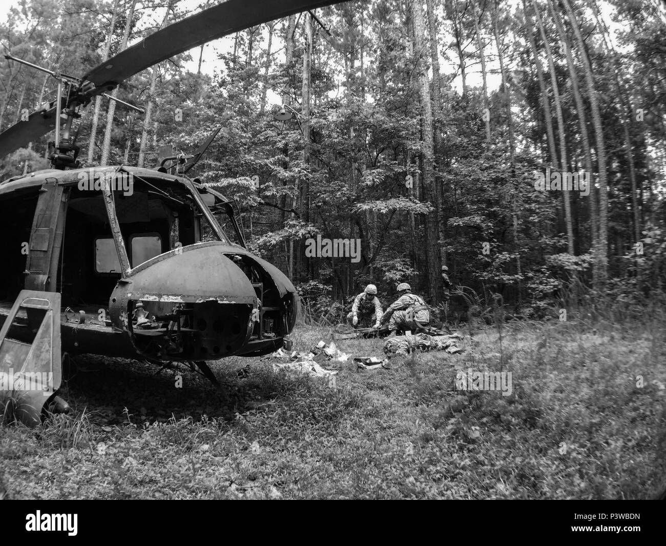 U.S. Army Reserve Soldaten mit der 246Th Quartermaster Firma (leichenhalle), Mayaguez, Puerto Rico, entfernt simulierten menschlichen Überreste während einer Suche und Wiederherstellung Mission bei einem Hubschrauberabsturz während der leichenhalle Angelegenheiten Übung 16-02, 21. Juli, am Fort Pickett, VA MAX. 16-02 alle sechs US Army Reserve Leichenhalle Angelegenheiten der Einheiten, die Suche und Bergung Missionen und die Leichenhalle Angelegenheiten Sammelstellen und ein Theater Leichenhalle Evakuierung Punkt enthalten. Die Einheiten wurden von aktiven ausgewertet - Pflicht leichenhalle Angelegenheiten Personal aus der Nähe Fort Lee (USA, Virginia. Armee Foto von Timothy L. Hale) (Rele Stockfoto