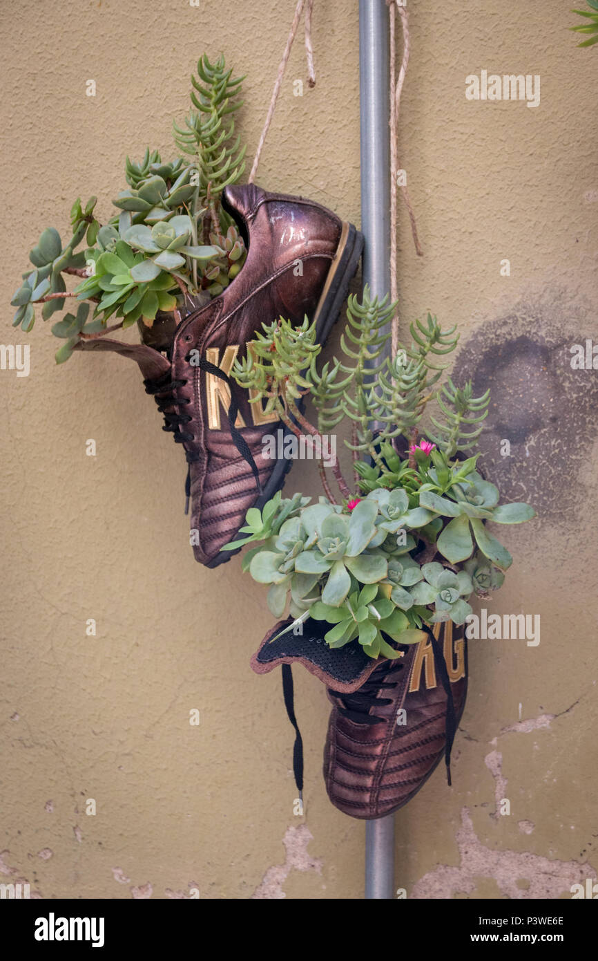Ein altes Paar Fußballschuhe als kreative hängender Blumentopf für Sukkulenten verwendet Stockfoto