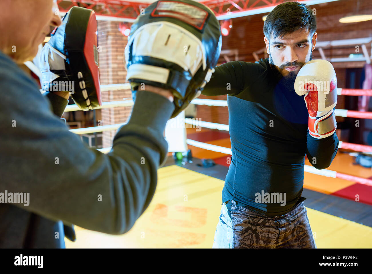 Professionelle Trainer mit Boxer im Ring Stockfoto