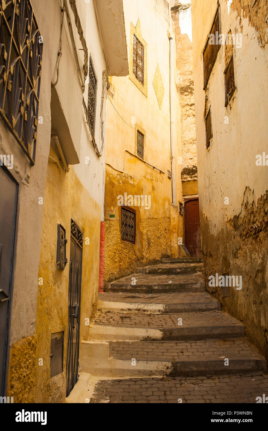 Gelbe Gasse in der Medina von Moulay Idriss, Marokko Stockfoto