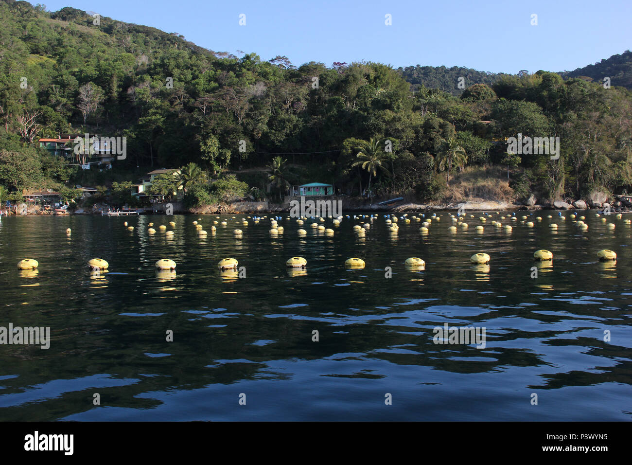 Com aproximadamente 4000 moradores fixos na Ilha Grande, os locais tiram Seu sustento de relacionadas Ao atividades Turismo e à Pesca. Há muitos na região Restaurantes, Hotéis, Pousadas, fazendas de Mariscos e também Venda de Artesanato. Há também muitas Empresas de transporte Marítimo que fazem passeios Turísticos pela Região. Stockfoto