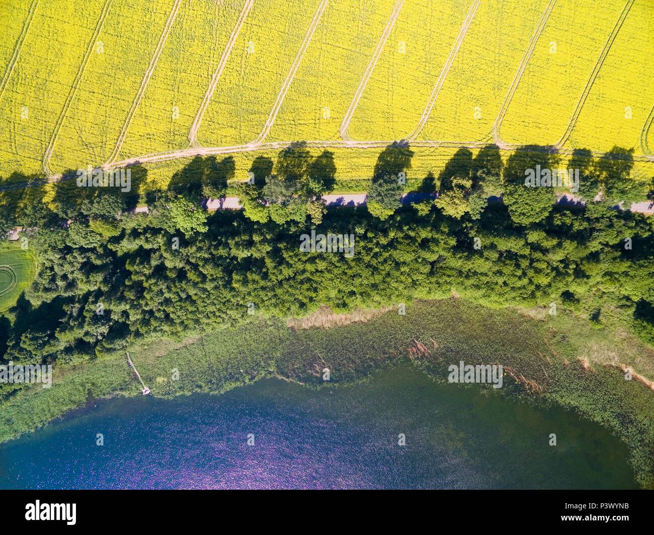 Luftaufnahme der ländlichen Landschaft des Lake District - Mazury, Polen. Mamry See auf der Unterseite Stockfoto