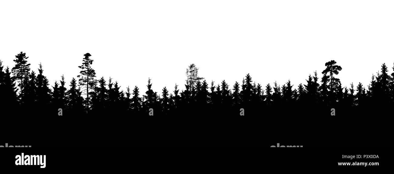 Nahtlose, weite Silhouette von Baum und Wald Gipfeln - auf weißem Hintergrund, Vektor Stock Vektor