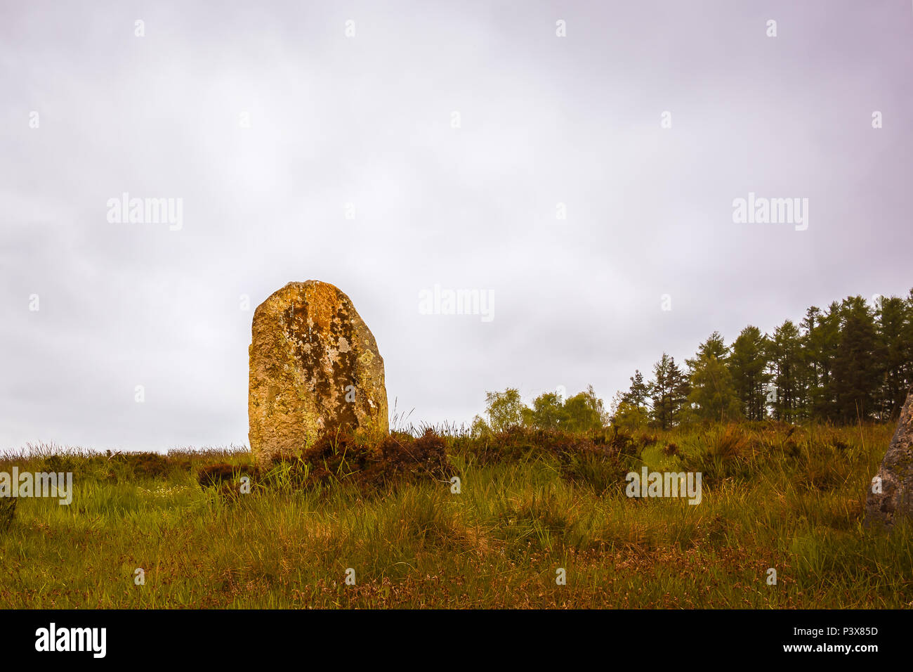 Großen aufrechten Stein, Menhir, in einer prähistorischen Friedhof aus der Bronzezeit, Vatteryd Gräberfeld, Hassleholm, Schweden, 11. Mai 2018 Stockfoto