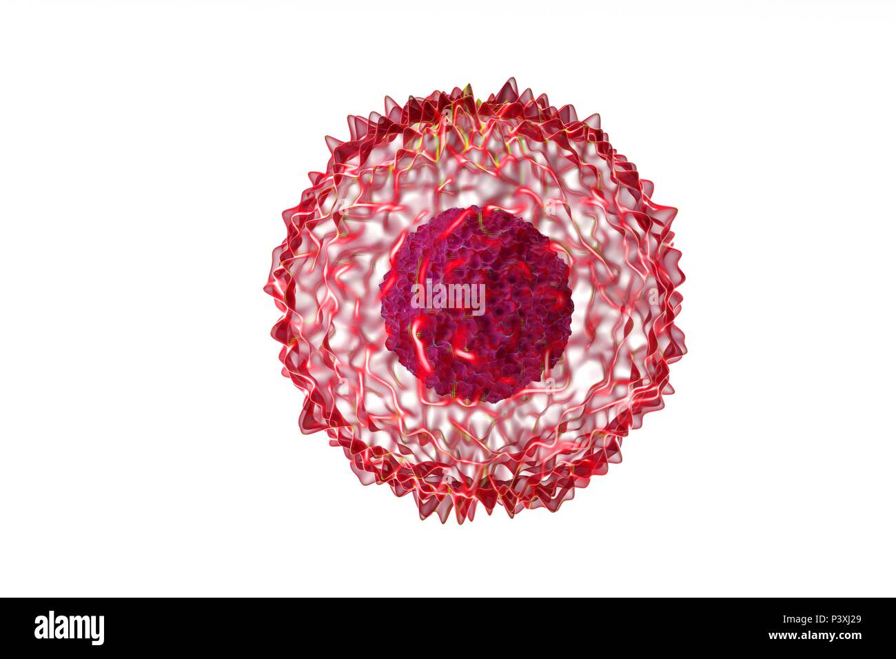 Biologische Zelle auf Read Hintergrund Mikroskop 3D-Illustration isoliert Stockfoto