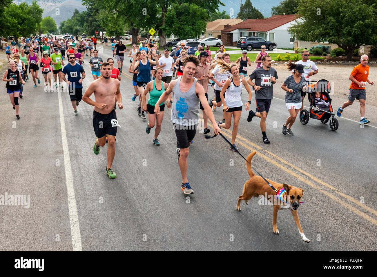 Läufer rennen in 5K und 10 K Fuß Rennen; jährliche Fibark Festival; Salida, Colorado, USA Stockfoto