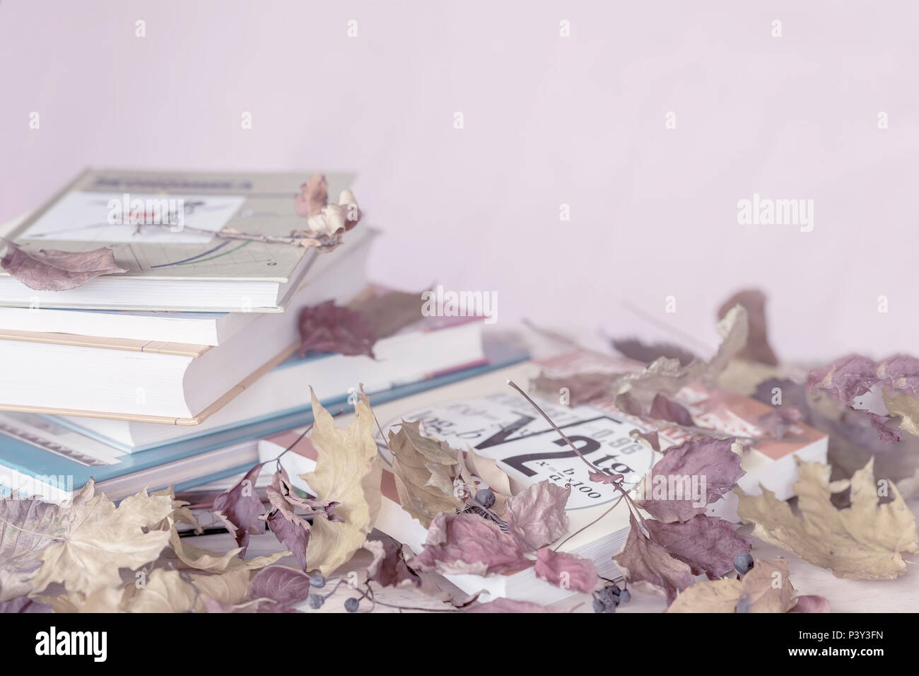 Stapel von Schulbüchern, Bücher auf den Tisch mit Herbstlaub, gegen einen hellpurpurroten Hintergrund mit Kopie Raum Konzept der zurück zu Schule, Bildung Stockfoto