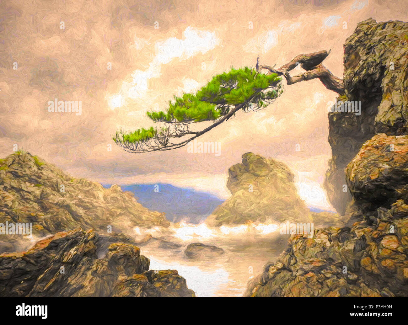 Japan Baum Bonsai Meer Ozean Ufer Linie Felsen neblig Morgen Stockfoto