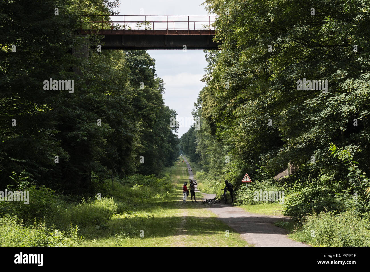 Wälder von Valenciennes Stockfoto