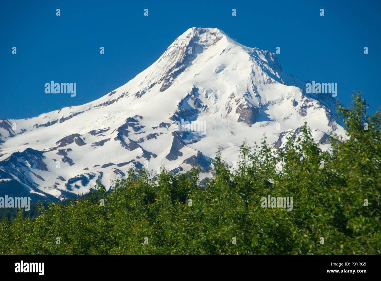 Mt Hood über Orchard, Hood River County, Oregon Stockfoto