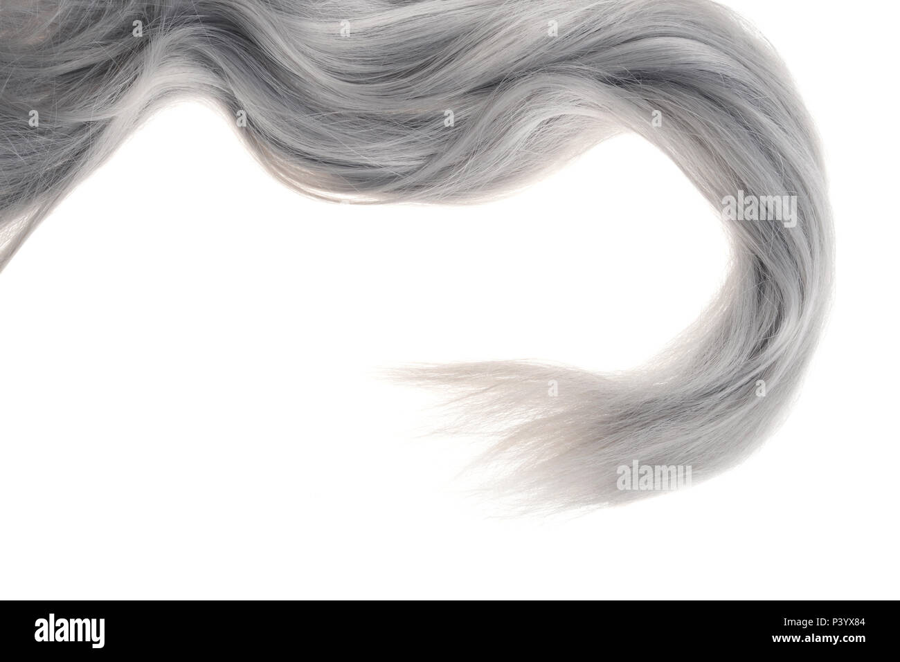 Closeup Stück graues Haar Stockfoto