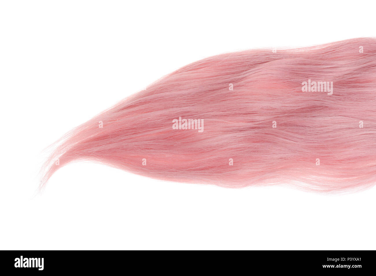Isolierte rosa Schuß der Haare Stockfoto