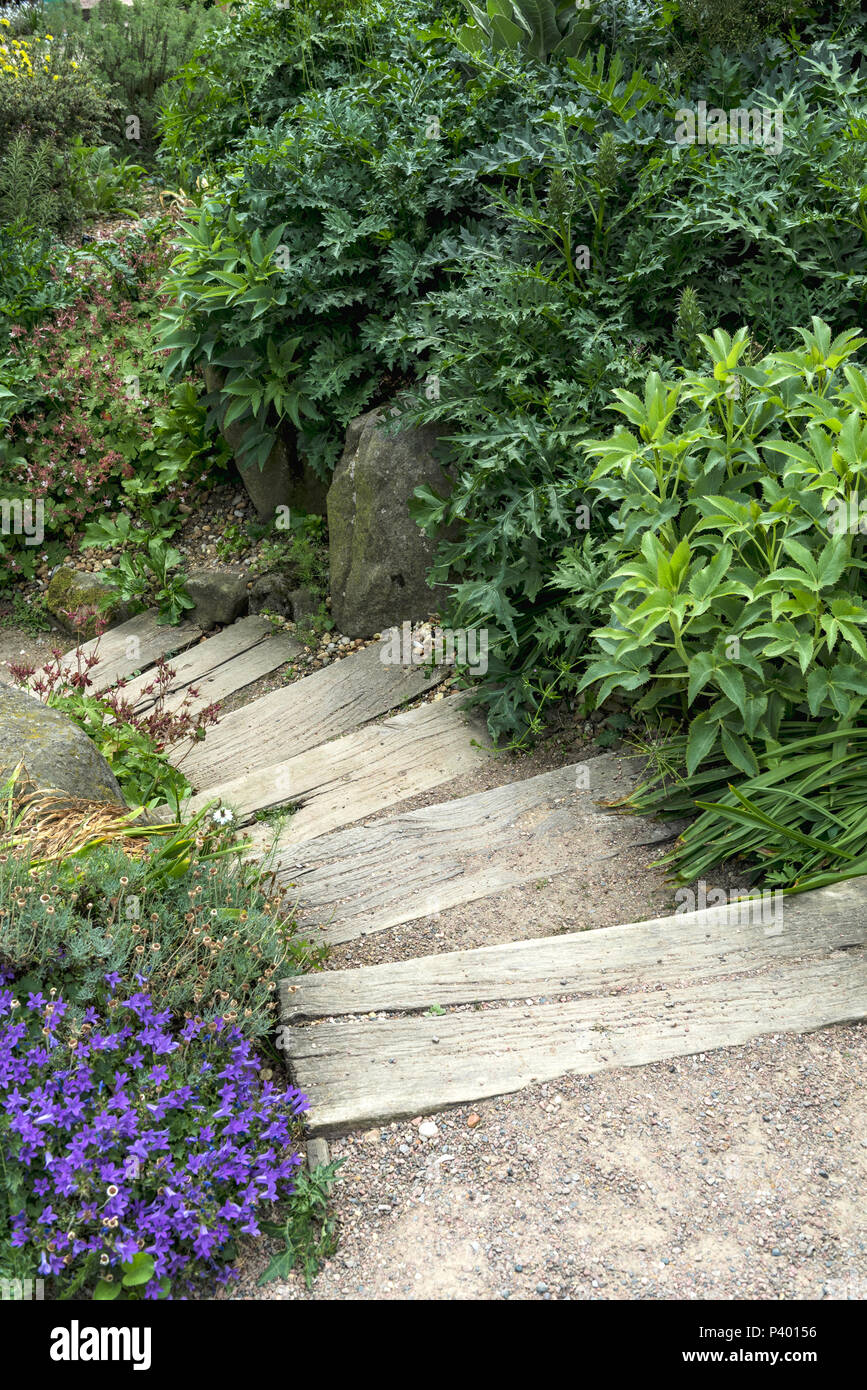 Holz- schritte in der chemische Garten RHS Hyde Hall. Stockfoto