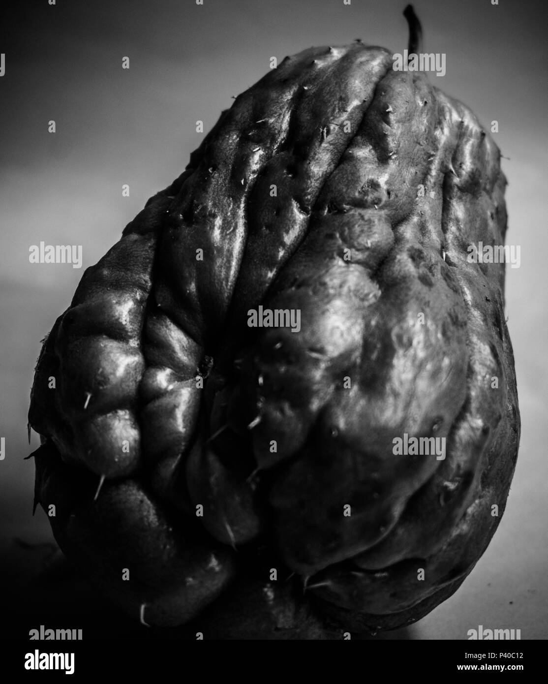 Chinesische Zucchini Stockfoto