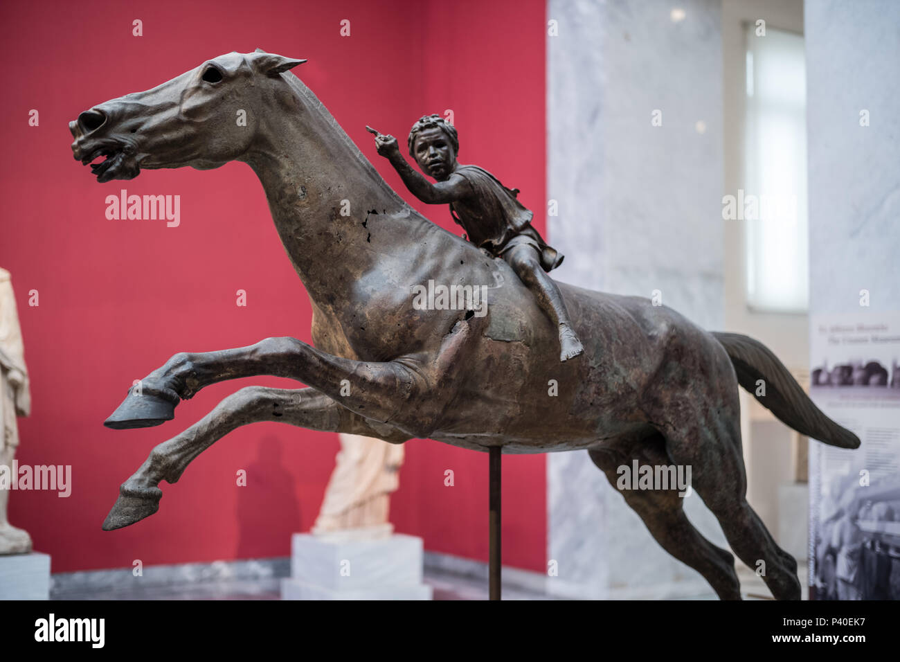 Der junge befreien ein Pferd Stockfoto