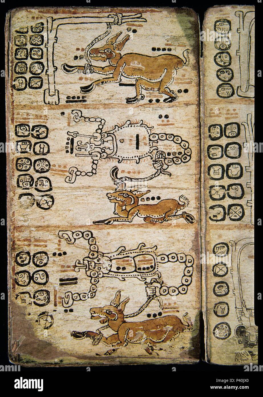 Seite von der Madrider Codex (auch Codex Tro-Cortesianus bekannt). Maya Kultur. Fantasy Geschöpfe. 13. und 15. Jahrhundert. Madrid, Museum von Amerika. Lage: das Museo DE AMERICA - COLECCION, MADRID, SPANIEN. Stockfoto