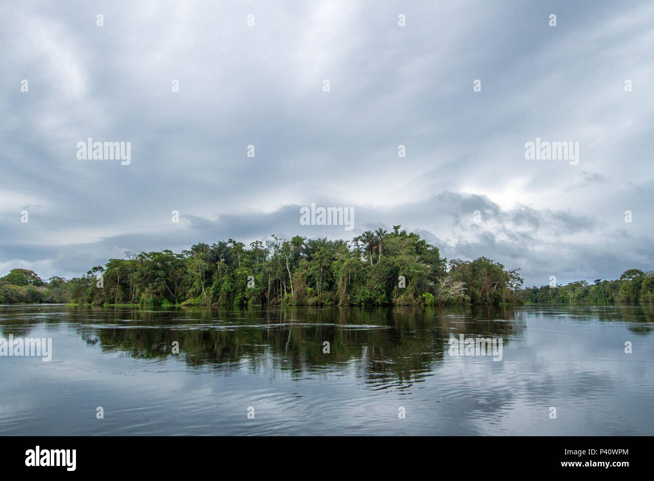 Uarini bin Cheia Cheia na Amazônia Rio Japurá Amazônia Amazonas Uarini Floresta Amazônica Norte do Brasil Stockfoto