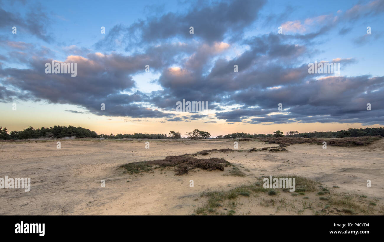 Sonnenuntergang über Sanddünen im Nationalpark Hoge Veluwe in der Provinz Gelderland, Niederlande Stockfoto