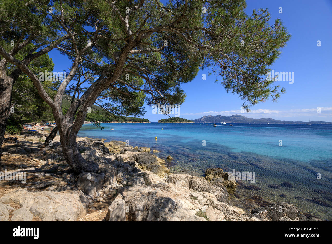 Formentor sauber, Wasser, Meer, Marine und Pinien, Serra de Tramuntana, Mallorca Spanien Welterbe Stockfoto