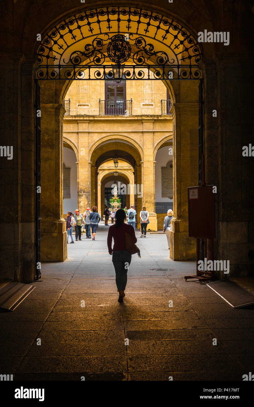 Frau reist allein, Blick auf eine Frau in Silhouette, die in die ehemalige Tabakfabrik (heute Universität) in Sevilla geht, die Bizets Carmen inspirierte. Stockfoto