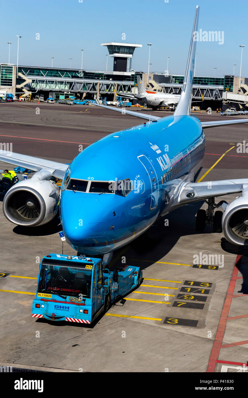 KLM jet Flugzeug auf dem Vorfeld des Flughafens Schiphol, Niederlande. Stockfoto
