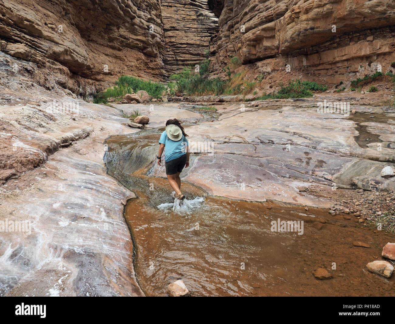 Junge Frau genießen einige backpacking Ausfallzeiten in Einsiedler Creek im Grand Canyon National Park, Arizona. Stockfoto