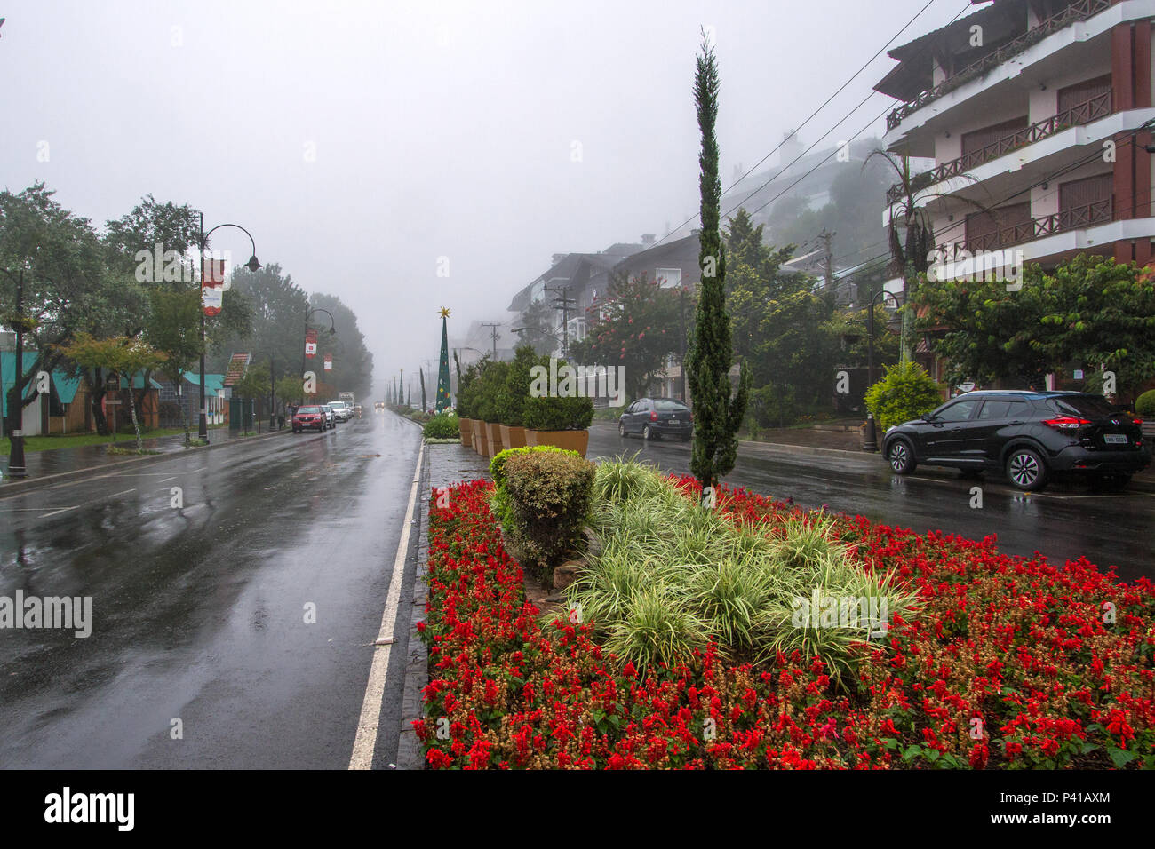 Avenida Avenida em Gramado, Avenida Borges de Mediros, Avenida com canteiro de Flores, Avenida keine sul Brasil, Jardim florido, Flores, canteiro de Flores na Avenida, Avenida Florida, Gramado, Rio Grande do Sul, Serra Gaucha, Sul do Brasil, Daten Dezembro de 2018 Stockfoto