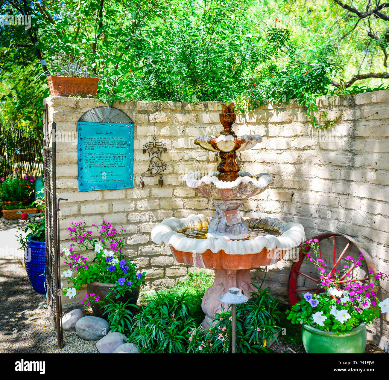 Schönen südwestlichen Stil Garten mit Springbrunnen, in der Nachbarschaft von der Tucson Botanical Gardens in Tucson, AZ gewidmet Stockfoto