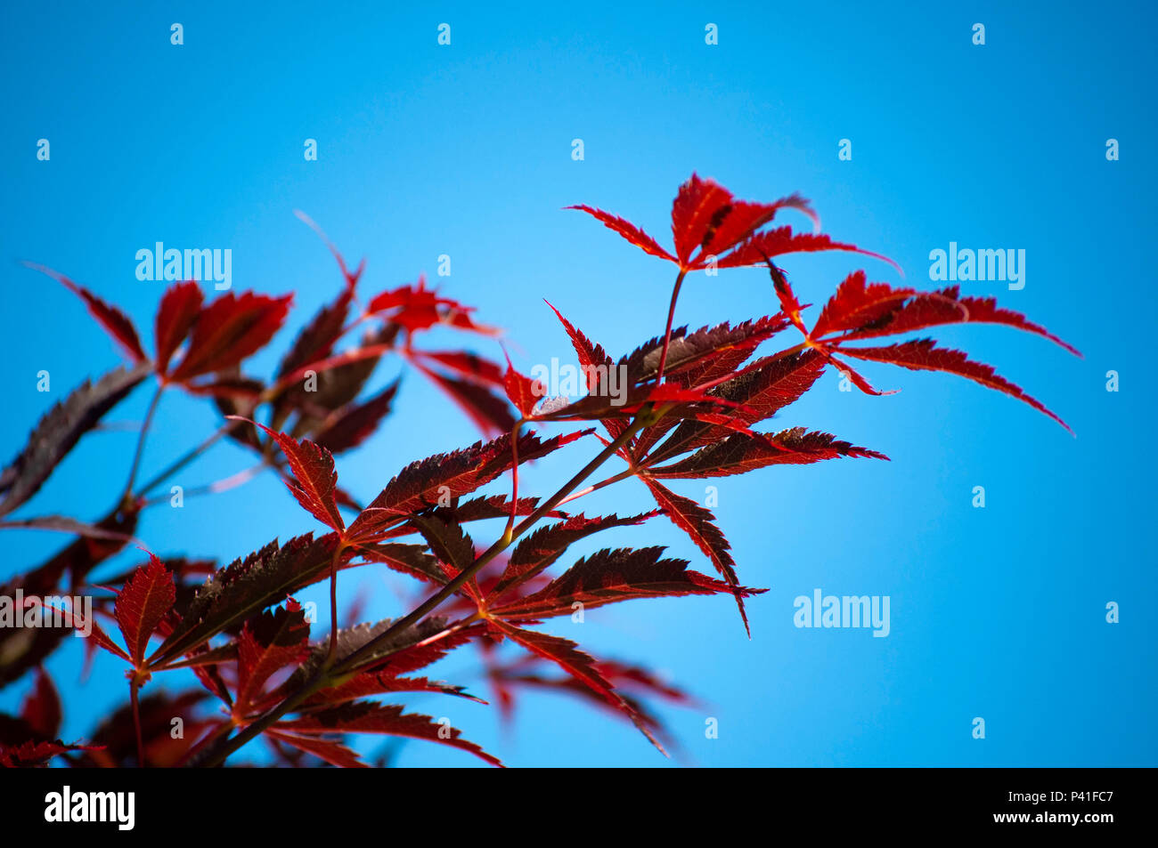 Smithfield, Rhode Island Stockfoto
