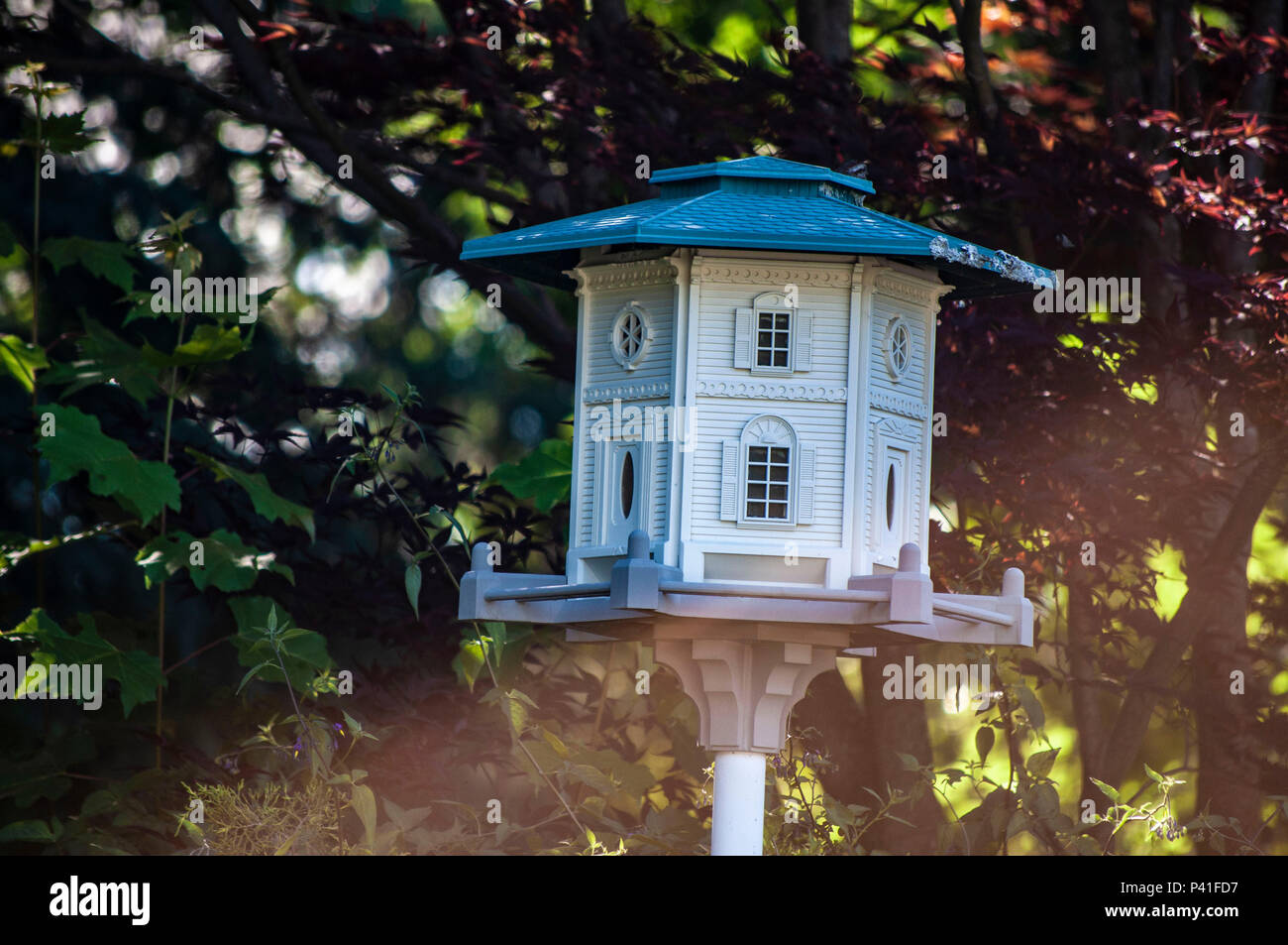 Unter den Vögeln. Ein Vogelhaus im Garten. Stockfoto