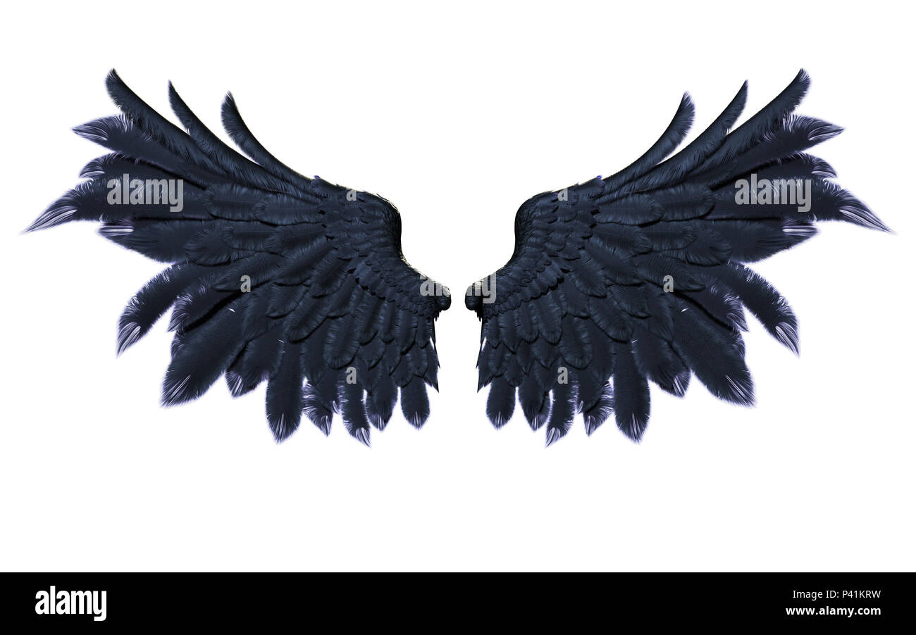 Demon Wings Schwarze Flügel Gefieder Isoliert Auf Weißem
