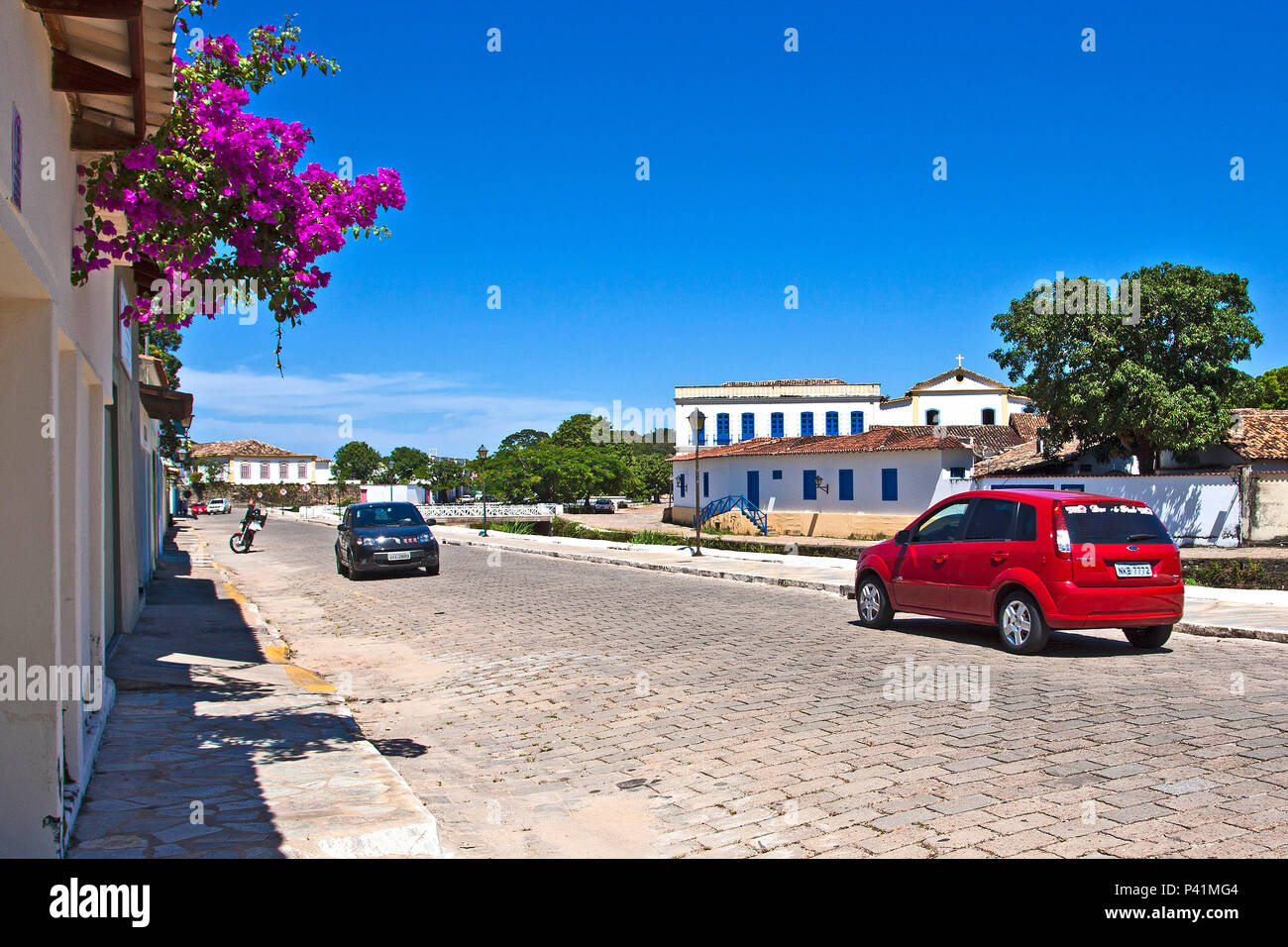 Primavera keine Muro Flor Trepadeira Goias Goias Velho Centro Oeste Natureza jardim Flora Flores Rua de paralelepipedo Stockfoto