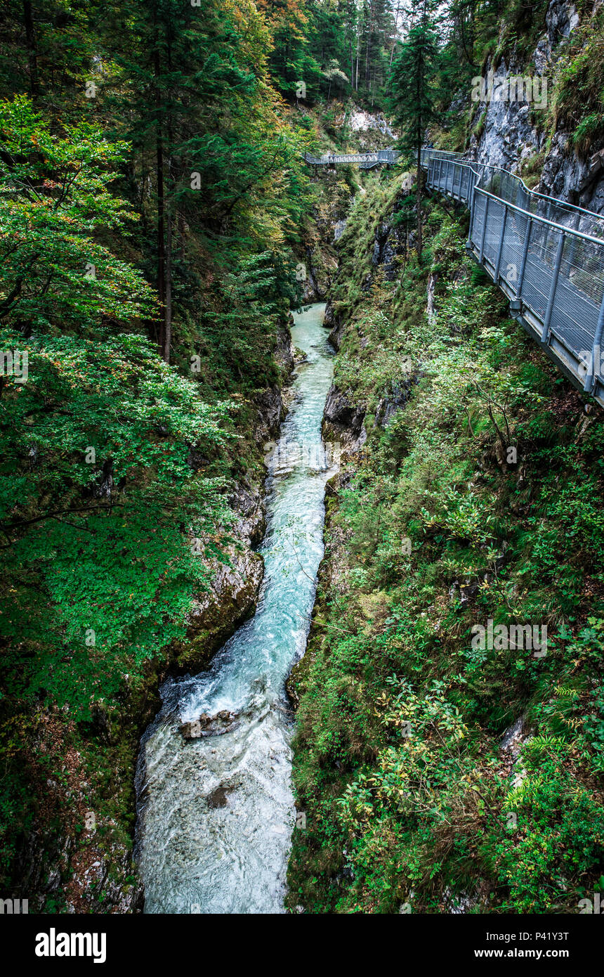 Leutaschklamm - wilde Schlucht mit Fluss in den Alpen von Deutschland Stockfoto