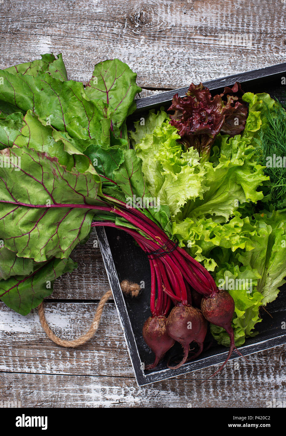 Rote Bete, Salat und Petersilie in Holzkiste Stockfoto