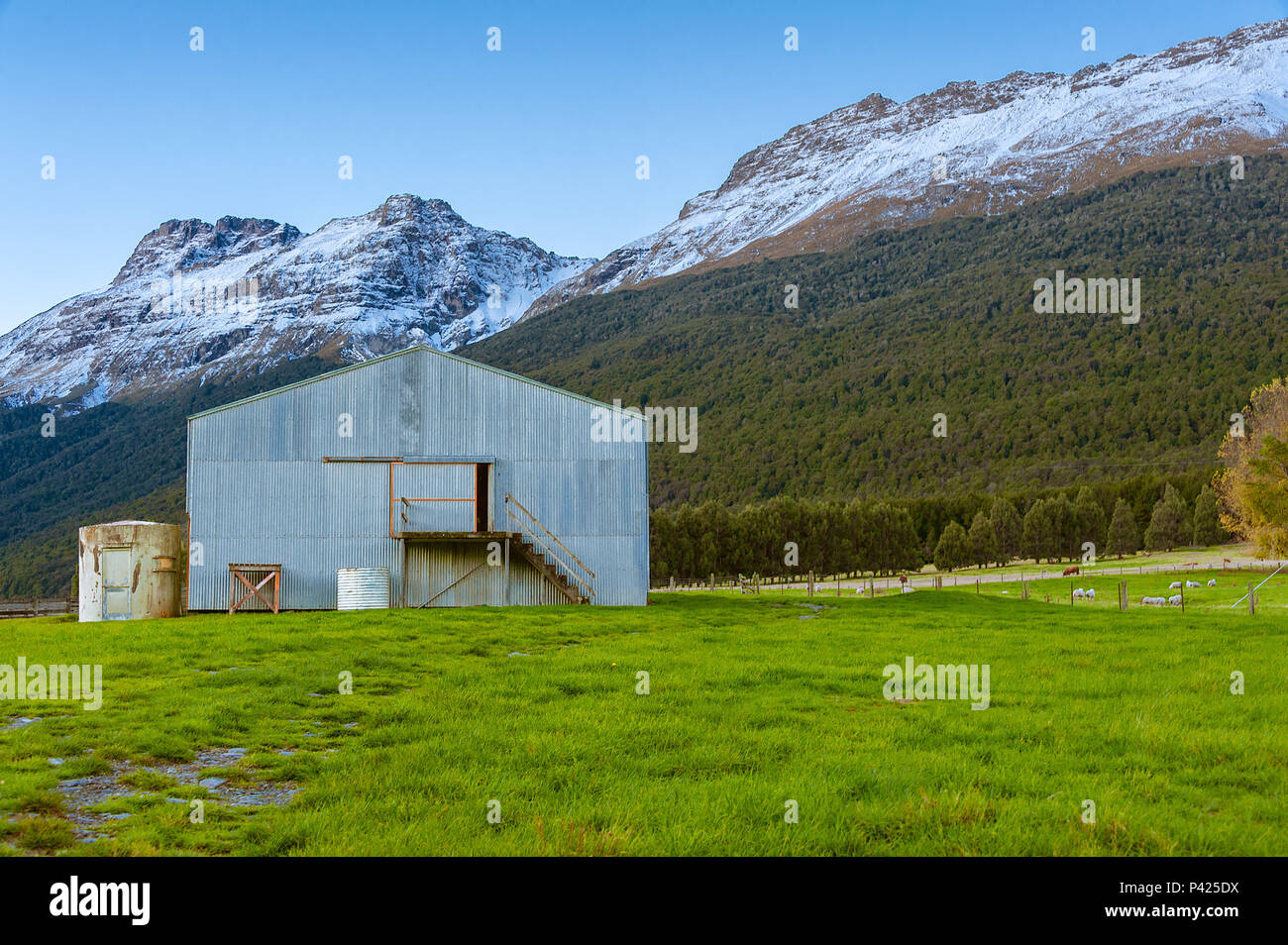 Eine Scheune auf einer Wiese in der Nähe von Bergen im Schnee bedeckt, und eine Herde Schafe weiden in der Nähe. Stockfoto
