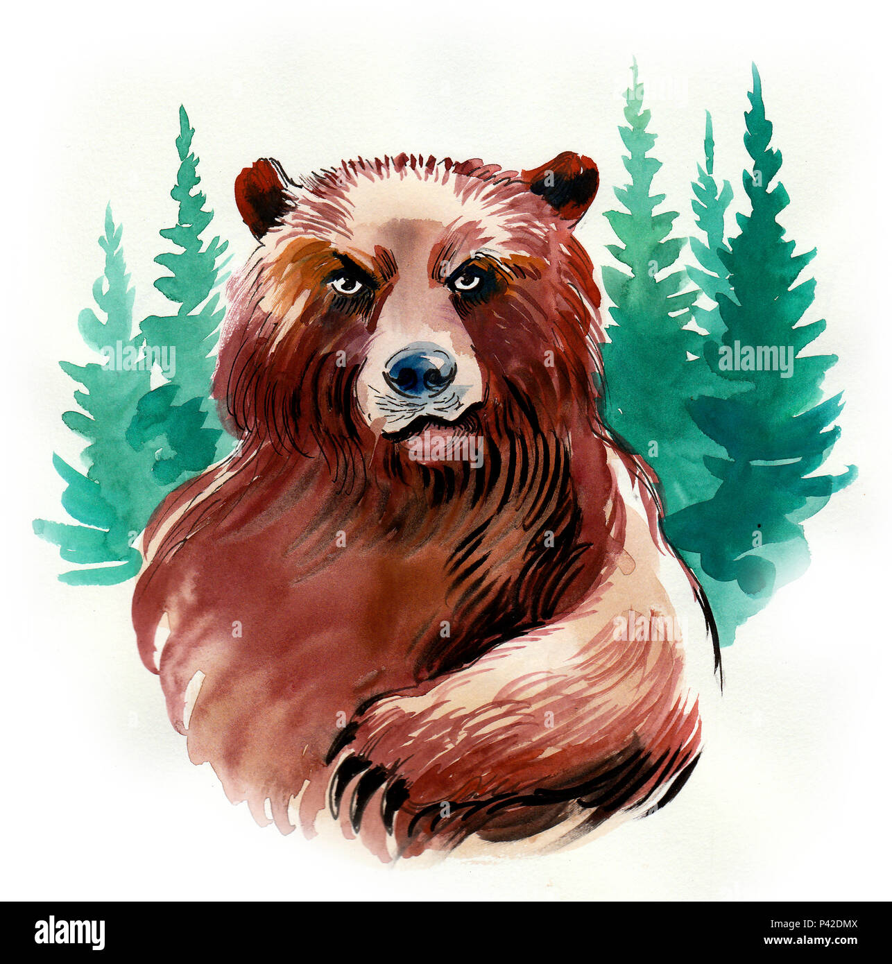 Big grizzly Bär. Aquarell Malerei Stockfoto