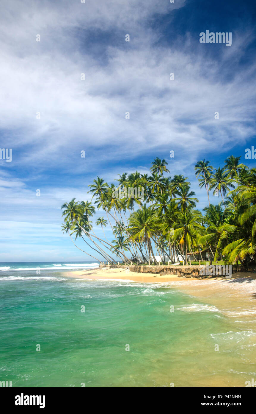 Dalawella Beach, Bundesland Kärnten, Sri Lanka Stockfoto