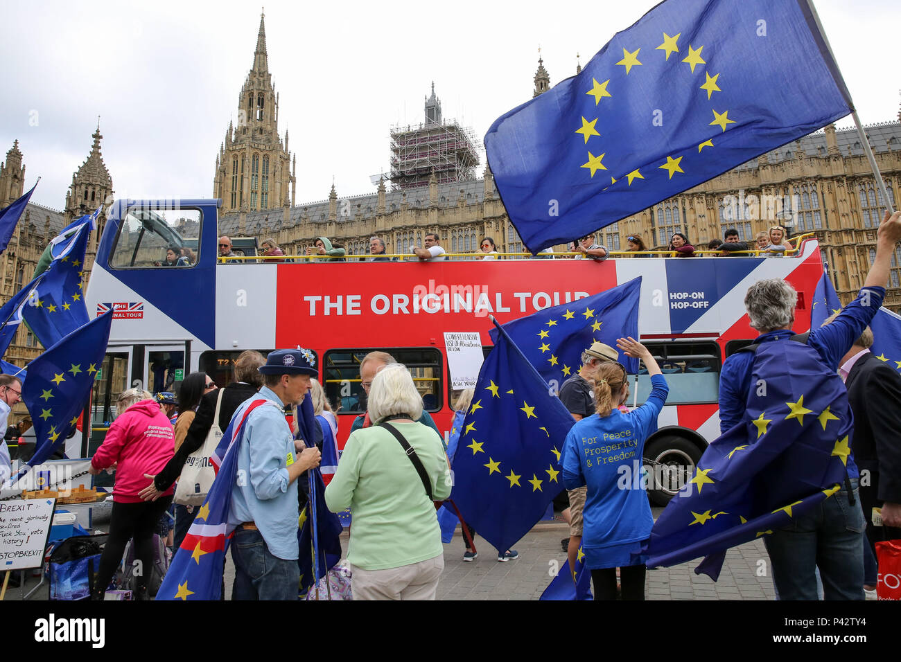 Westminster, London, Großbritannien. 20. Juni 2018 - Pro-EU-Befürworter zeigt außerhalb des Parlaments als Mitglieder des Parlaments Aussprache und Abstimmung später heute auf Brexit Herren Änderungen von der Rücknahme Rechnung. Die Regierung verlor die Abstimmung im Oberhaus über einen Änderungsantrag MPs eine "sinnvolle Abstimmung "auch wenn die Regierung eine Brexit Angebot zu erreichen. Credit: Dinendra Haria/Alamy leben Nachrichten Stockfoto