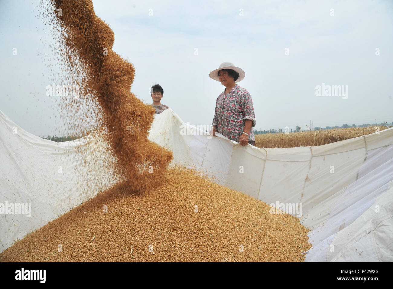 Zaozhuang, Provinz Shandong in China. 2. Juni 2018. Bauern ernten Weizen in Shanting, der zum Verwaltungsgebiet der bezirksfreien Stadt Wuxi, der ostchinesischen Provinz Shandong, 2. Juni 2018. Bis Dienstag, 20.7 Millionen Hektar Weizen hatte geerntet. Die 95,5 Prozent von Mähdrescher geerntet wurden, das Ministerium für Landwirtschaft und ländliche Angelegenheiten, sagte. Credit: Li Zongxian/Xinhua/Alamy leben Nachrichten Stockfoto