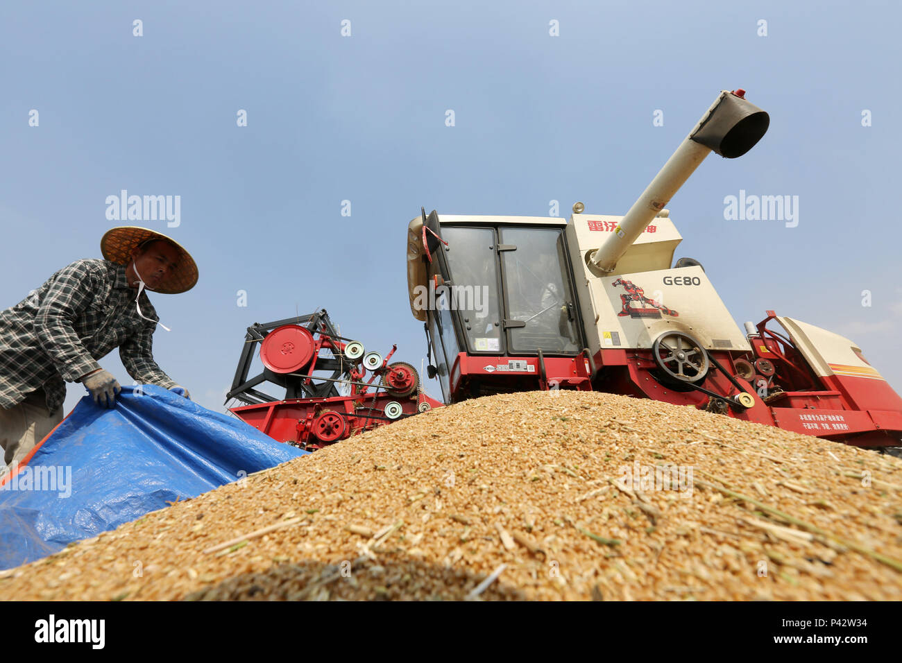 Nanjing, China Provinz Shandong. 7. Juni 2018. Ein Bauer ernten Weizen in Tancheng Grafschaft von Xuzhou, Provinz Shandong im Osten Chinas, 7. Juni 2018. Bis Dienstag, 20.7 Millionen Hektar Weizen hatte geerntet. Die 95,5 Prozent von Mähdrescher geerntet wurden, das Ministerium für Landwirtschaft und ländliche Angelegenheiten, sagte. Credit: Zhang Chunlei/Xinhua/Alamy leben Nachrichten Stockfoto
