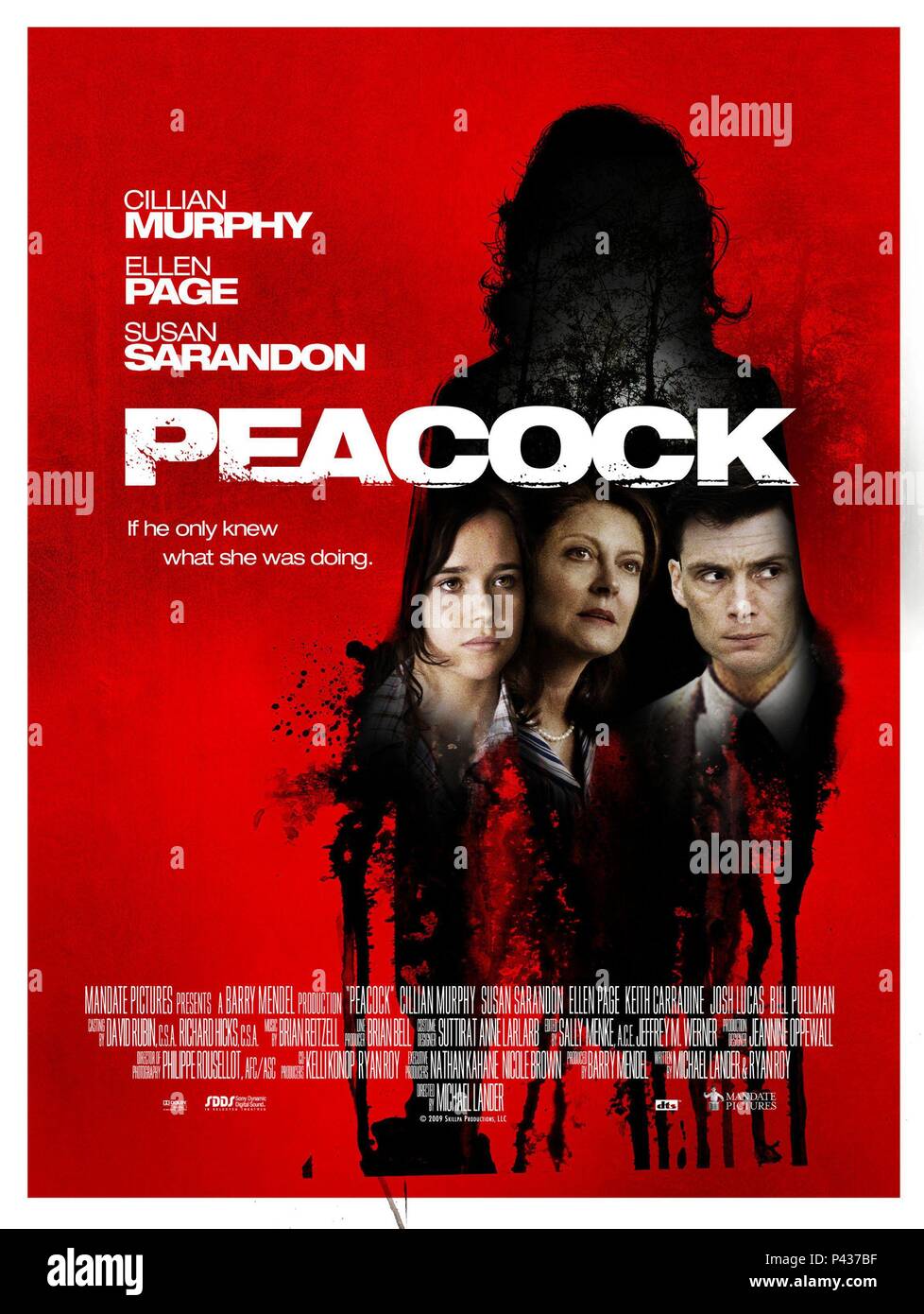 Original Film Titel: Pfau. Englischer Titel: Pfau. Regisseur: Michael Lander. Jahr: 2010. Credit: MANDAT BILDER / Album Stockfoto