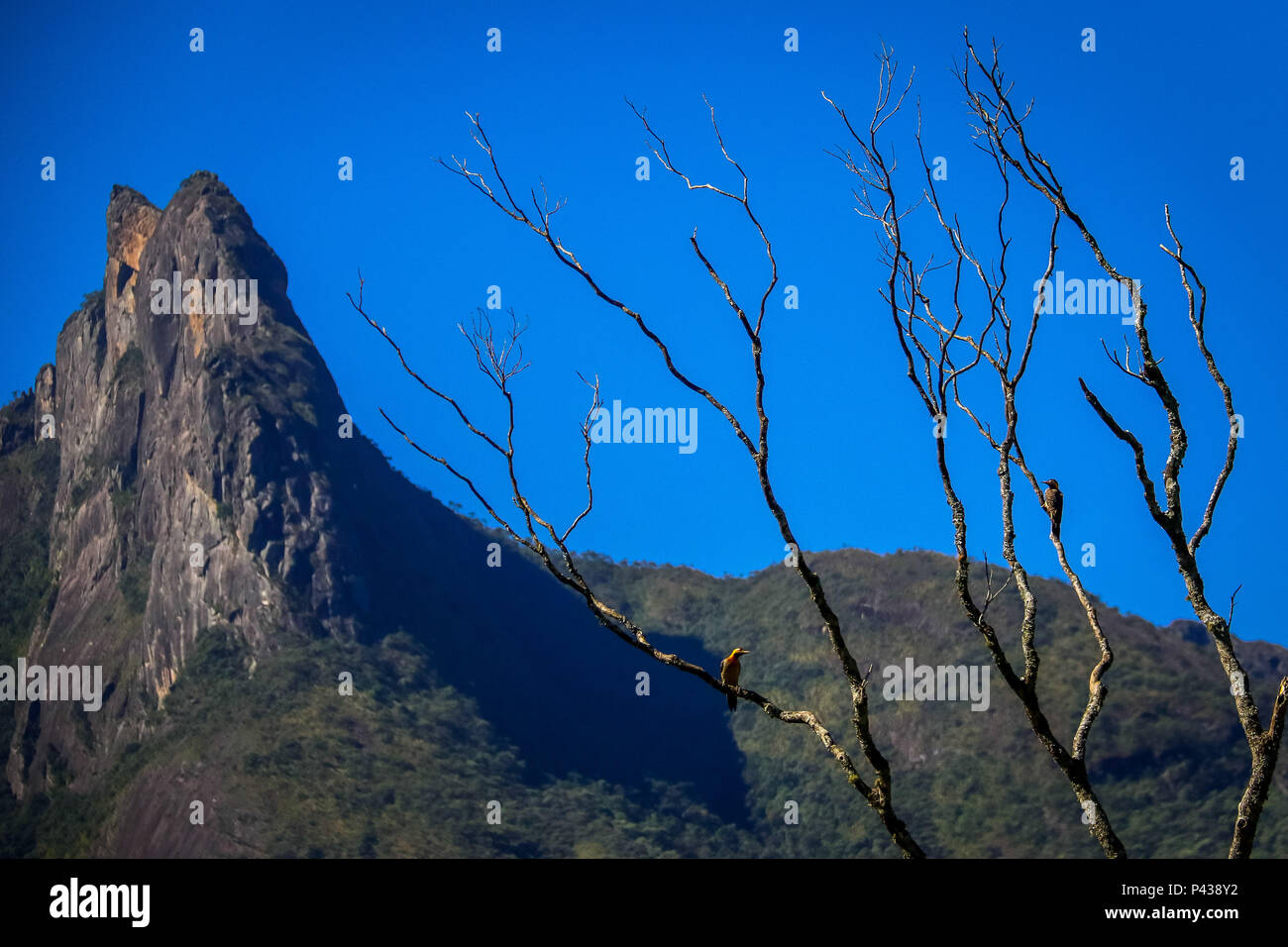 Vista do Pico dos Marins, em Piquete, SP, na Serra da Mantiqueira. Seu cume tem 2470 U-Bahnen. Stockfoto