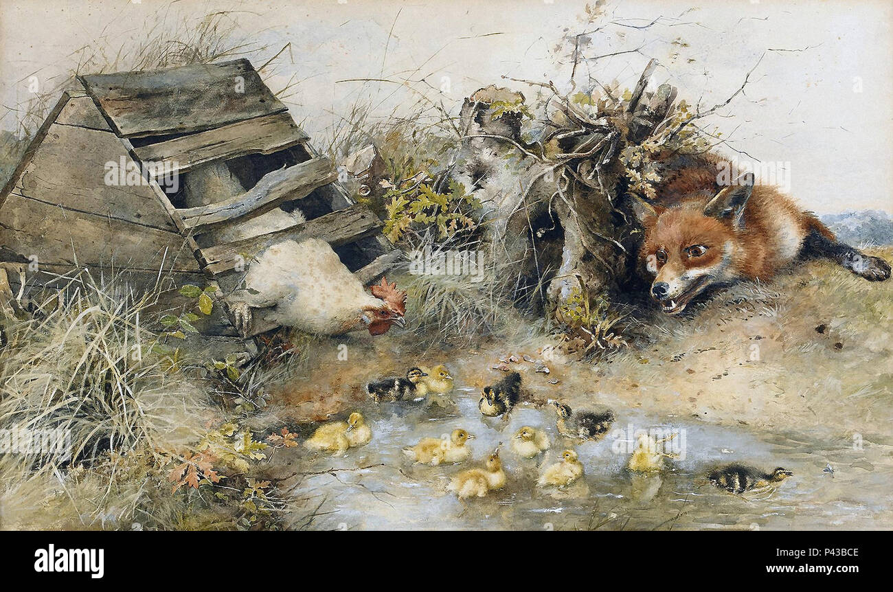 Huhner Vor Fuchs Schutzen