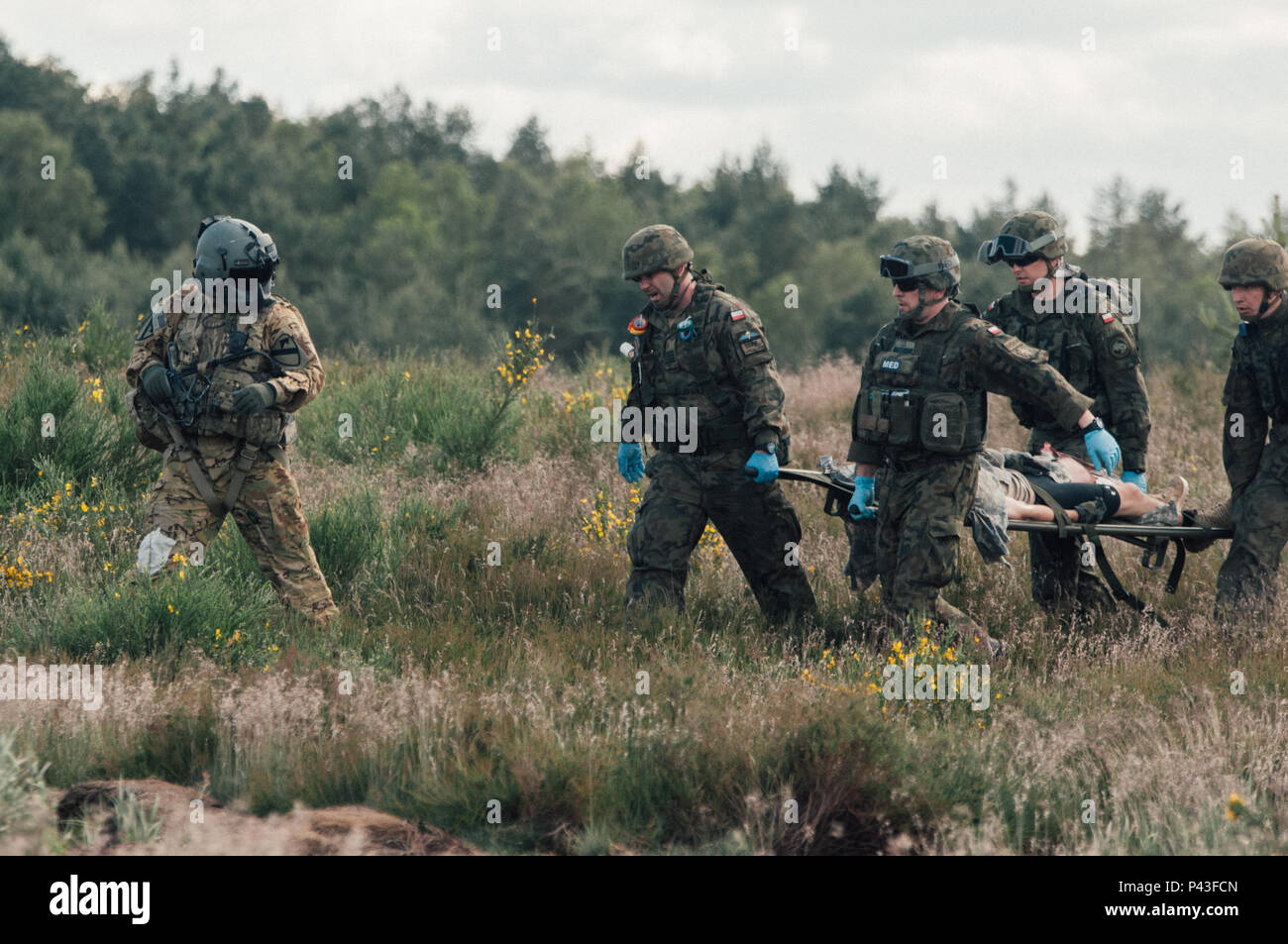 Polnische Ärzte tragen einen verletzten Soldaten auf einen Wurf als Teil eines simulierten Mass Casualty Evakuierungsübung während der Übung Anakonda 2016 (16) Bei Miroslawiec Air Base, Polen, 11. Juni 2016. Ein 16 eine Polnische-led, Multinationale Ausbildung Event läuft von Juni 7-17, umfasst rund 31.000 Teilnehmer aus mehr als 20 Nationen und ist ein Premier, der Schulungsveranstaltung für die US-Armee in Europa. Stockfoto