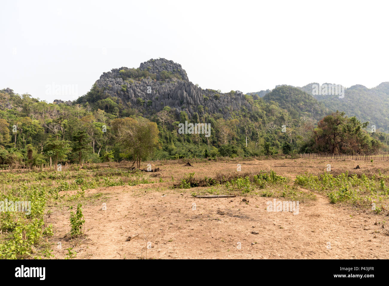 Feld gelöscht für das Einpflanzen, Nong Ping Village, Laos Stockfoto