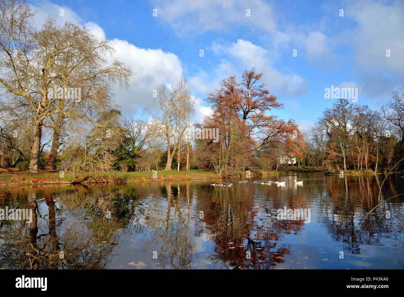 Le Vésinet Stockfoto