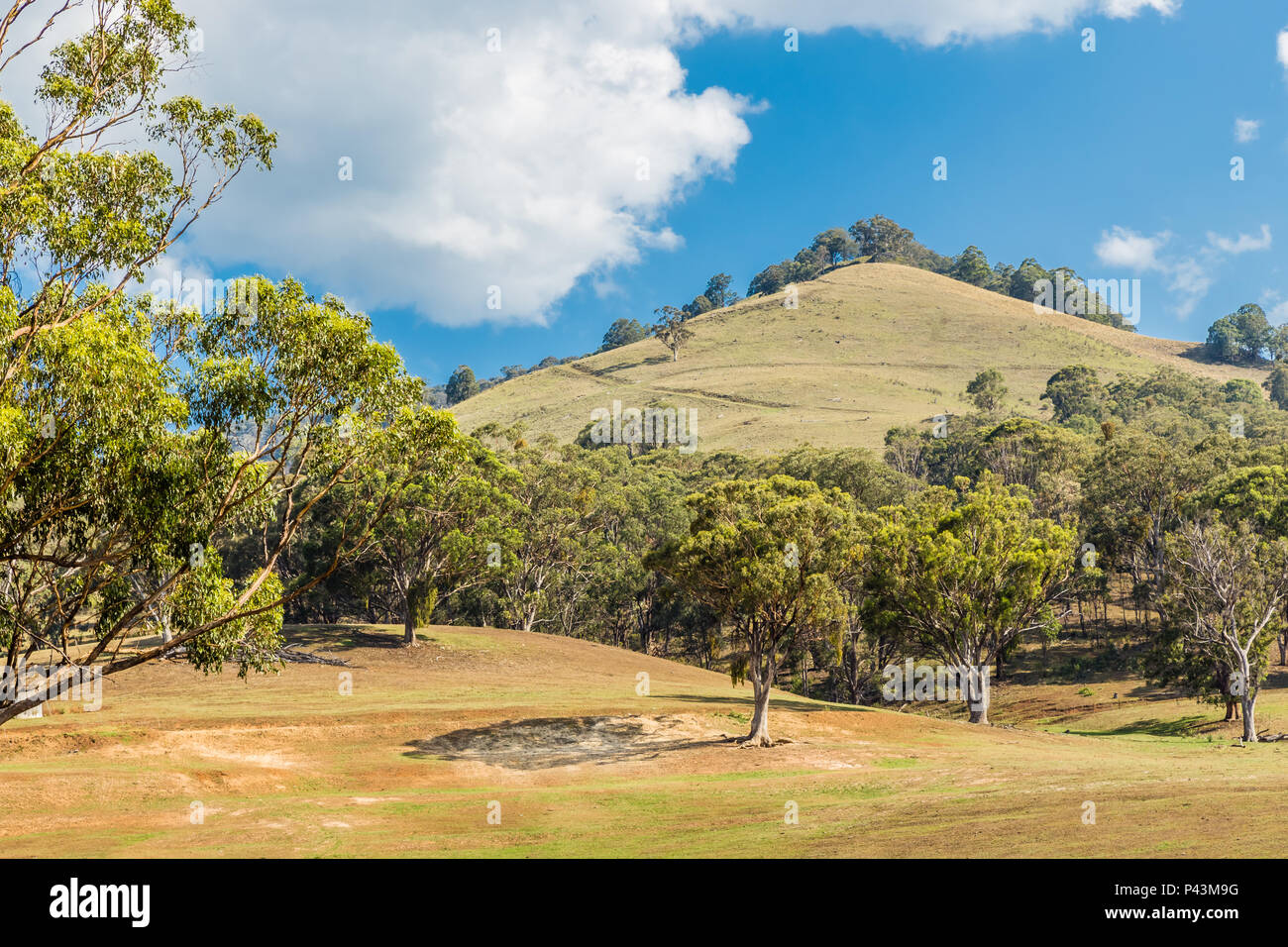 Blick auf die Landschaft im oberen Hunter Valley, NSW, Australien. Stockfoto