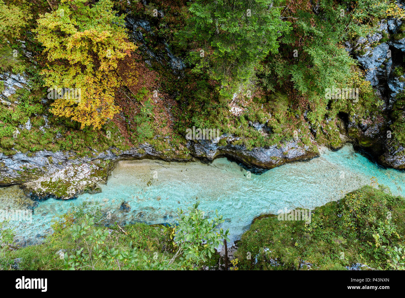 Leutaschklamm - wilde Schlucht mit Fluss in den Alpen von Deutschland Stockfoto