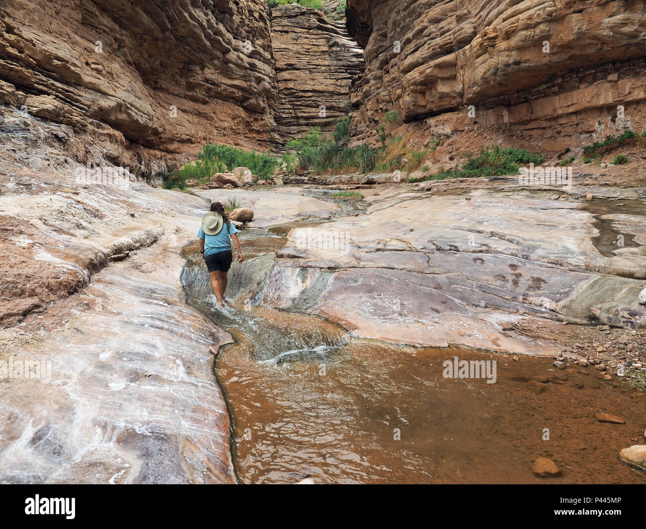 Junge Frau genießen einige backpacking Ausfallzeiten in Einsiedler Creek im Grand Canyon National Park, Arizona. Stockfoto